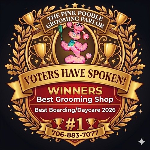 The Pink Poodle Grooming Parlor — Voted #1 Best Grooming Shop and Best Boarding/Daycare 2026